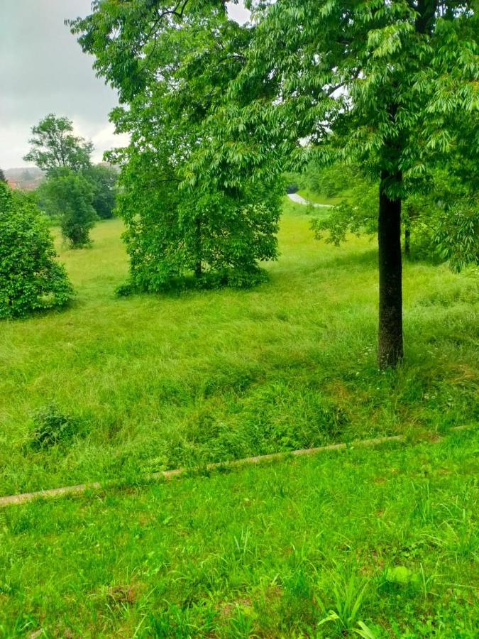 Il Bosco Incantato Borgo San Dalmazzo Eksteriør bilde